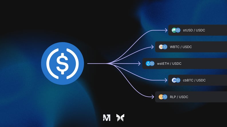angle-morpho-single-incentive-campaign